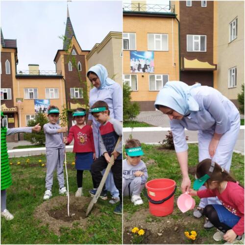 Посадка сирени и полив цветов